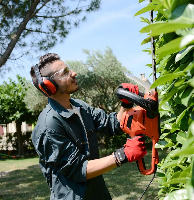A People First Healthcare gardener trimming a hedge in a client's garden