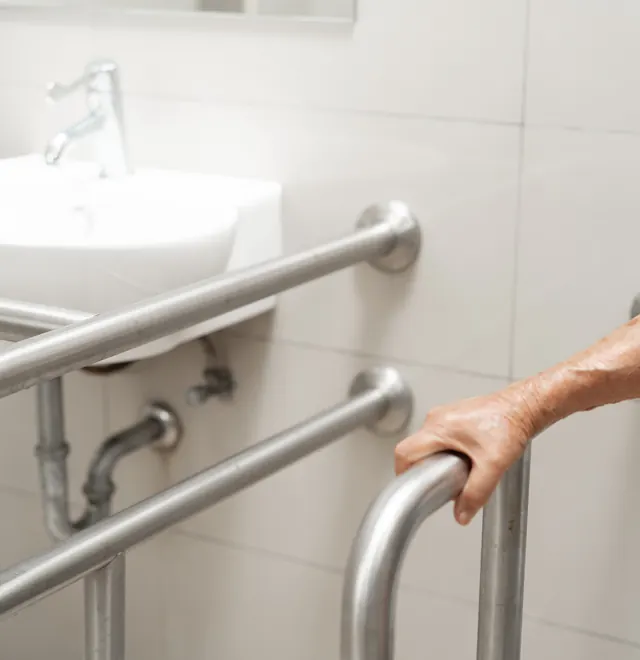 Grab rails fitted along a bathroom wall beside a step