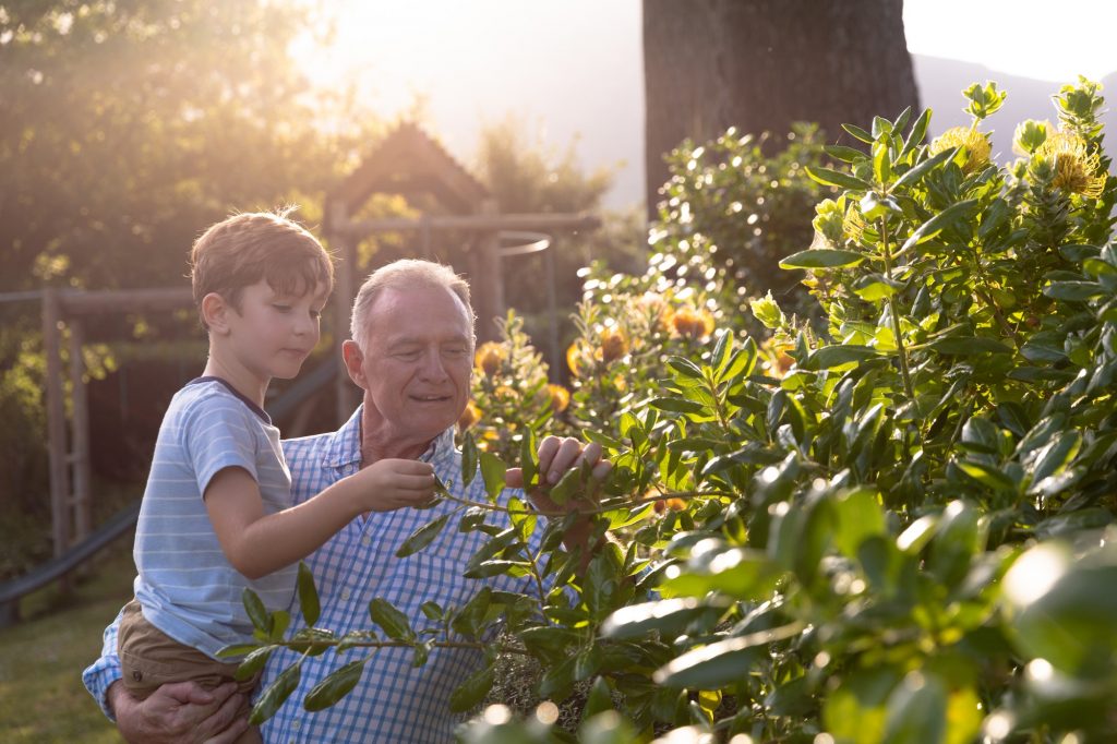 Grandfather and grandson at home in their garden